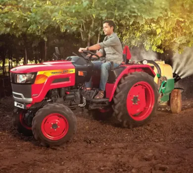 Mahindra 245 JIVO 4WD Tractor Image